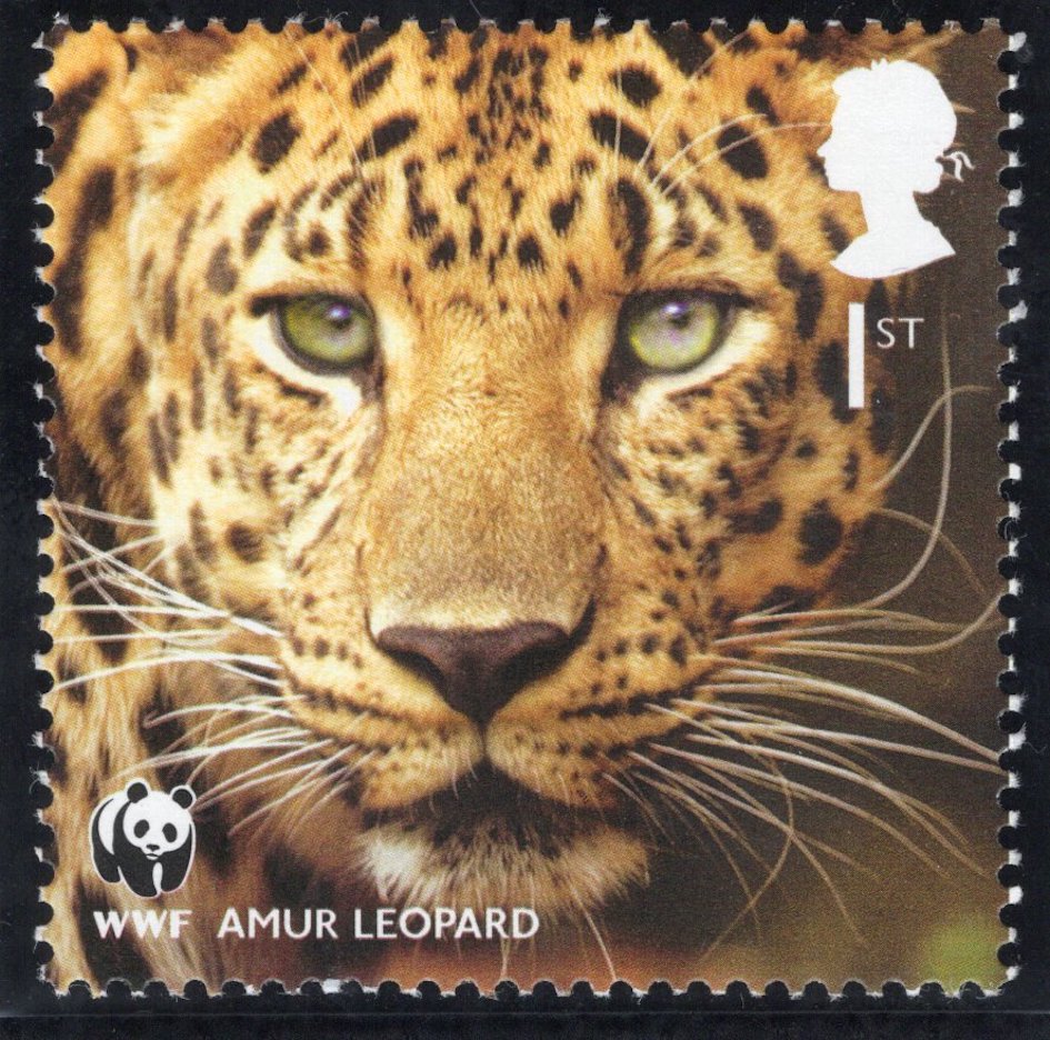 The Protecting Endangered Species Pastel Artwork with Mint Stamp - Amur Leopard