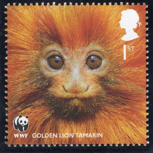The Protecting Endangered Species Pastel Artwork with Mint Stamp - Golden Lion Tamerin
