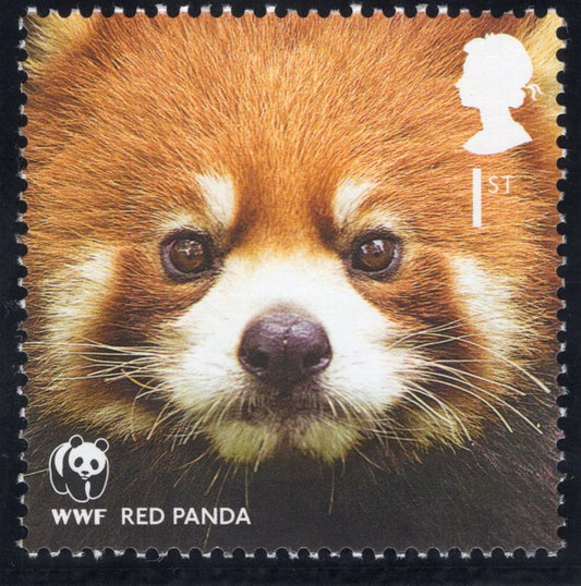 The Protecting Endangered Species Pastel Artwork with Mint Stamp - Red Panda