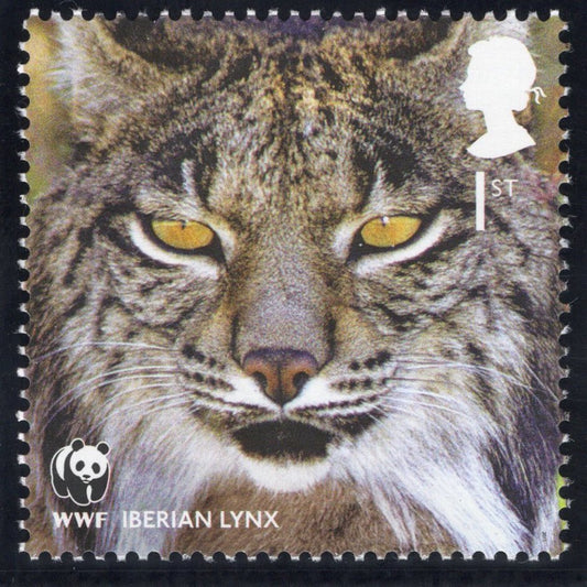 The Protecting Endangered Species Pastel Artwork with Mint Stamp - Iberian Lynx