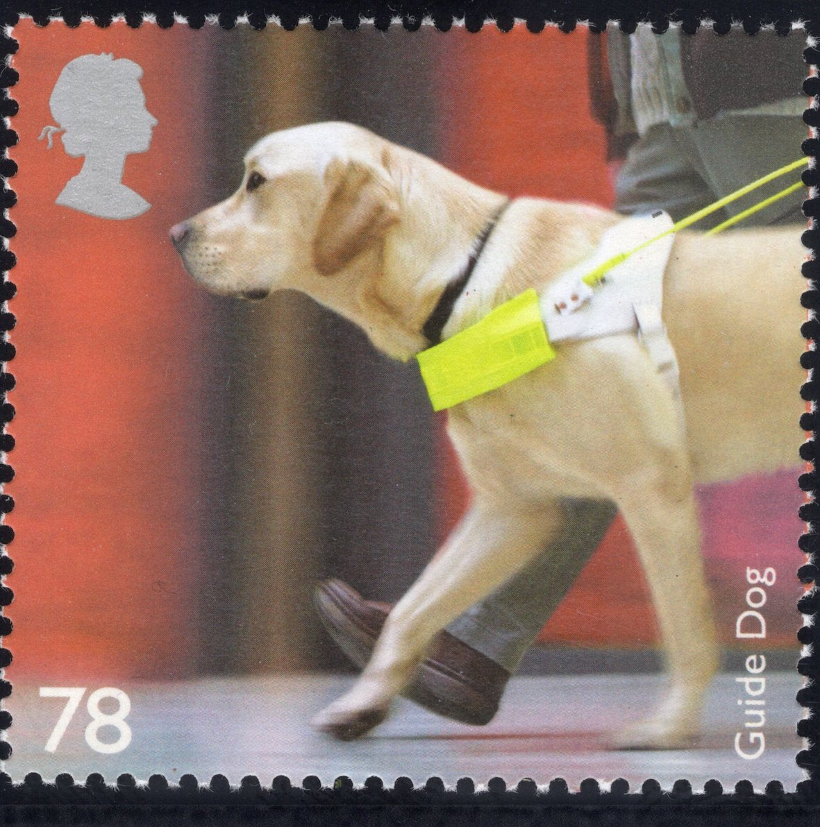 The Working Dogs Artwork with Mint Stamp - Guide Dog