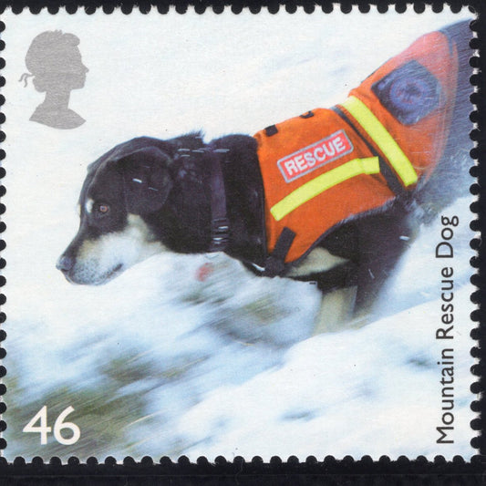 The Working Dogs Artwork with Mint Stamp - Mountain Rescue Dog
