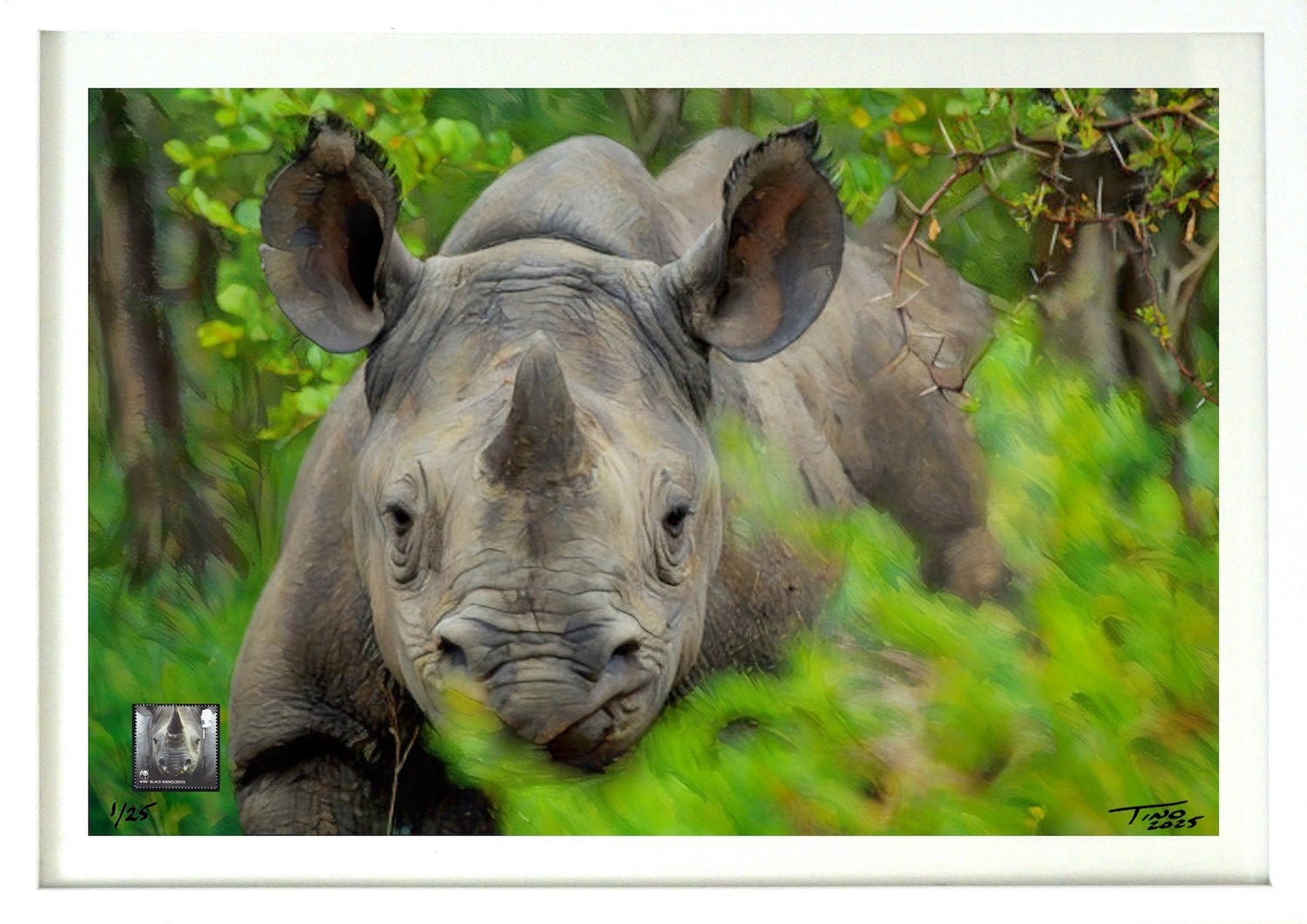 The 2011 WWF Protecting Endangered Species Mint Stamp with Artwork - Black Rhinoceros