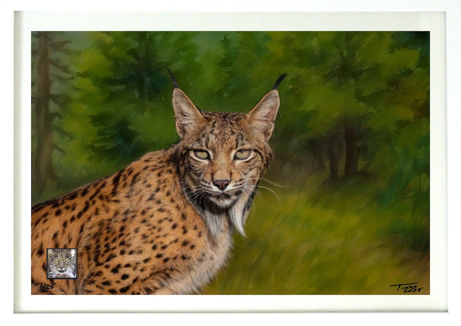 The 2011 WWF Protecting Endangered Species Mint Stamp with Artwork - Iberian Lynx