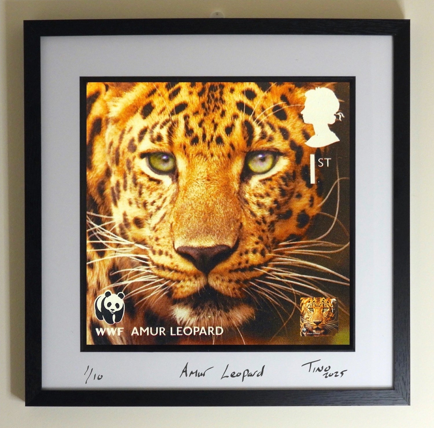 2011 WWF GB Mint Stamp Wall Art - Amur Leopard