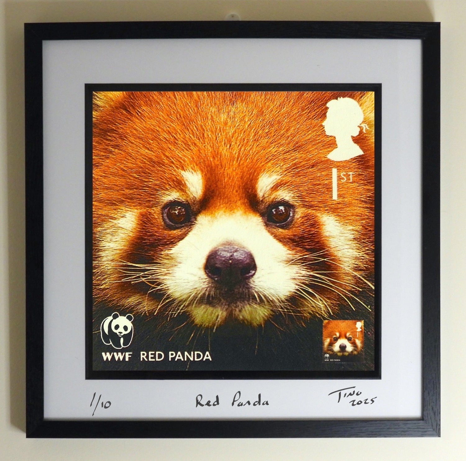 2011 WWF GB Mint Stamp Wall Art - Red Panda