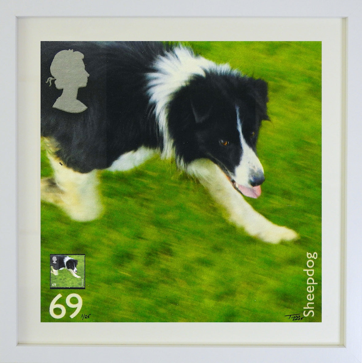 The 2008 Working Dogs Mint Stamp with Artwork - Sheepdog