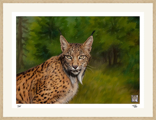 The Protecting Endangered Species Pastel Artwork with Mint Stamp - Iberian Lynx