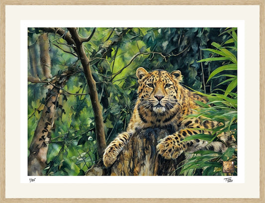 The Protecting Endangered Species Pastel Artwork with Mint Stamp - Amur Leopard