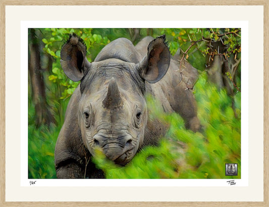 The Protecting Endangered Species Pastel Artwork with Mint Stamp - Black Rhinoceros