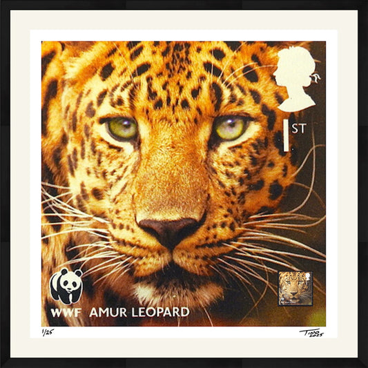 The WWF Artwork with Mint Stamp - Amur Leopard