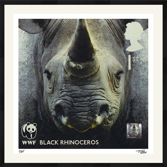 The WWF Artwork with Mint Stamp - Black Rhinoceros