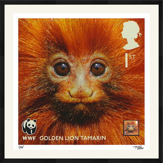 The WWF Artwork with Mint Stamp - Golden Lion Tamarin