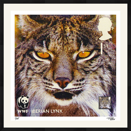 The WWF Artwork with Mint Stamp - Iberian Lynx
