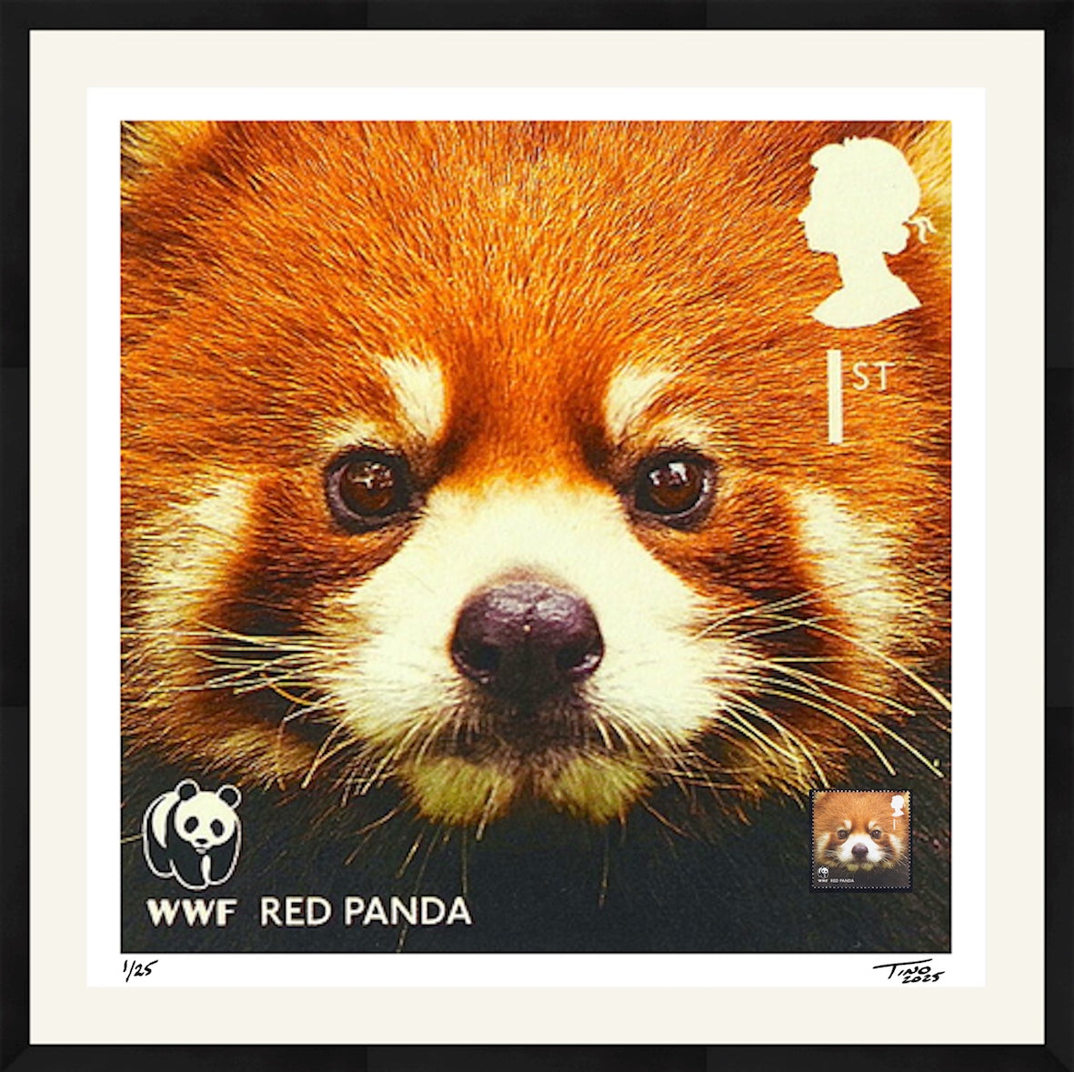 The WWF Artwork with Mint Stamp - Red Panda