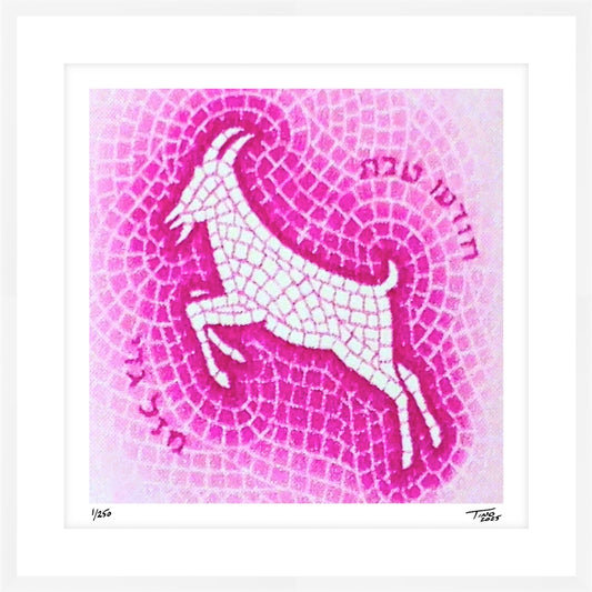 The Israel Zodiac Artwork - Capricornus