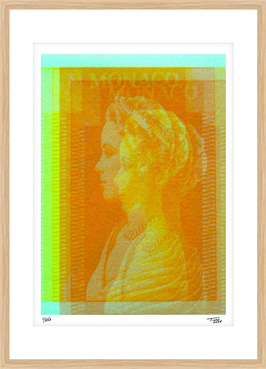 Monaco Grace Kelly Holga Artwork - Souci
