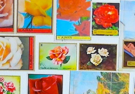 The Hearts of Arabia Women & Flowers Heart Artwork - Hayati