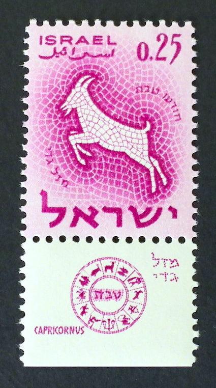 The Israel Zodiac Artwork - Capricornus