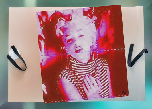 The Pop Artwork - Red & Violet