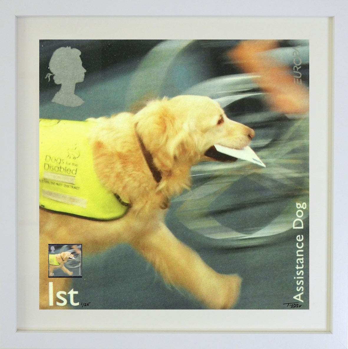 The 2008 Working Dogs Mint Stamp with Artwork - Assistance Dog