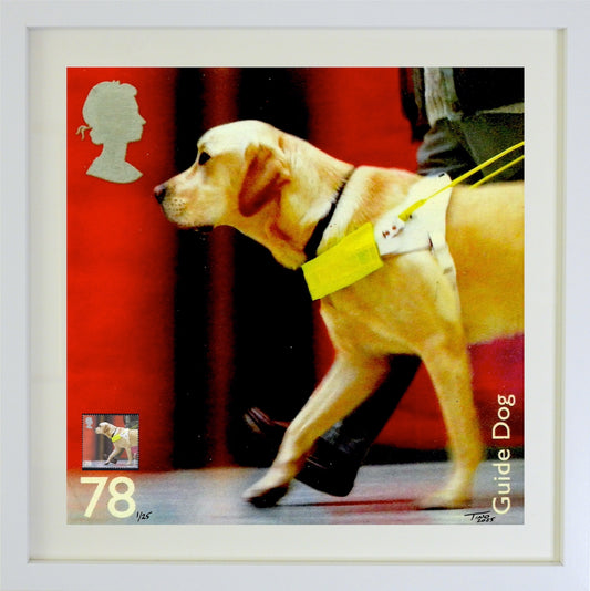 The 2008 Working Dogs Mint Stamp with Artwork - Guide Dog