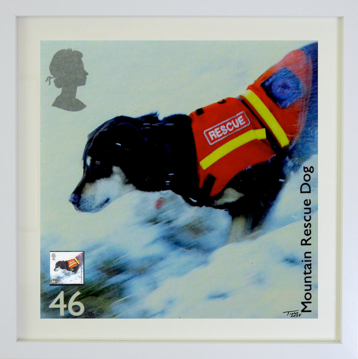The 2008 Working Dogs Mint Stamp with Artwork - Mountain Rescue Dog