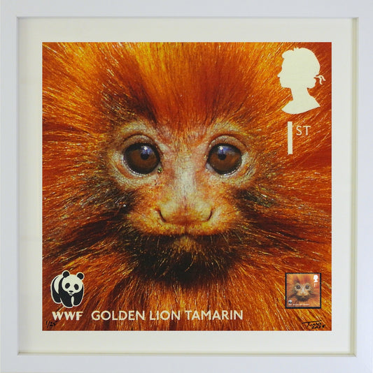The 2011 WWF Artwork with Mint Stamp - Golden Lion Tamarin