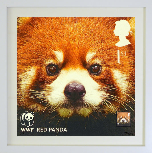The 2011 WWF Artwork with Mint Stamp - Red Panda