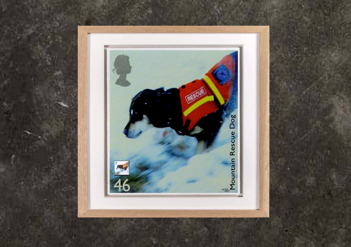 The 2008 Working Dogs Mint Stamp with Artwork - Mountain Rescue Dog