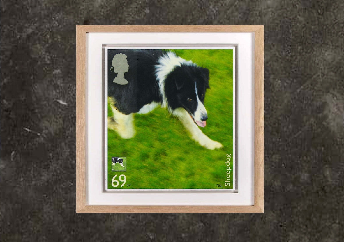 The 2008 Working Dogs Mint Stamp with Artwork - Sheepdog