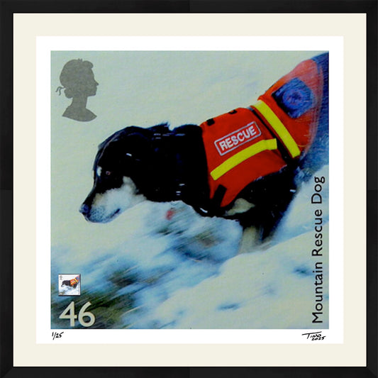The Working Dogs Artwork with Mint Stamp - Mountain Rescue Dog