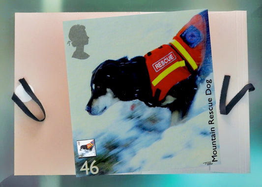The 2008 Working Dogs Mint Stamp with Artwork - Mountain Rescue Dog