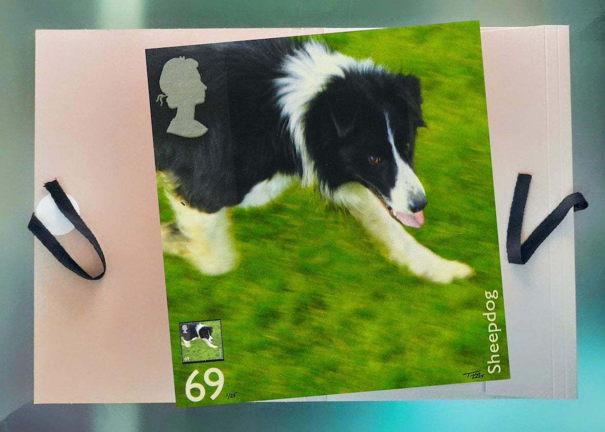 The 2008 Working Dogs Mint Stamp with Artwork - Sheepdog