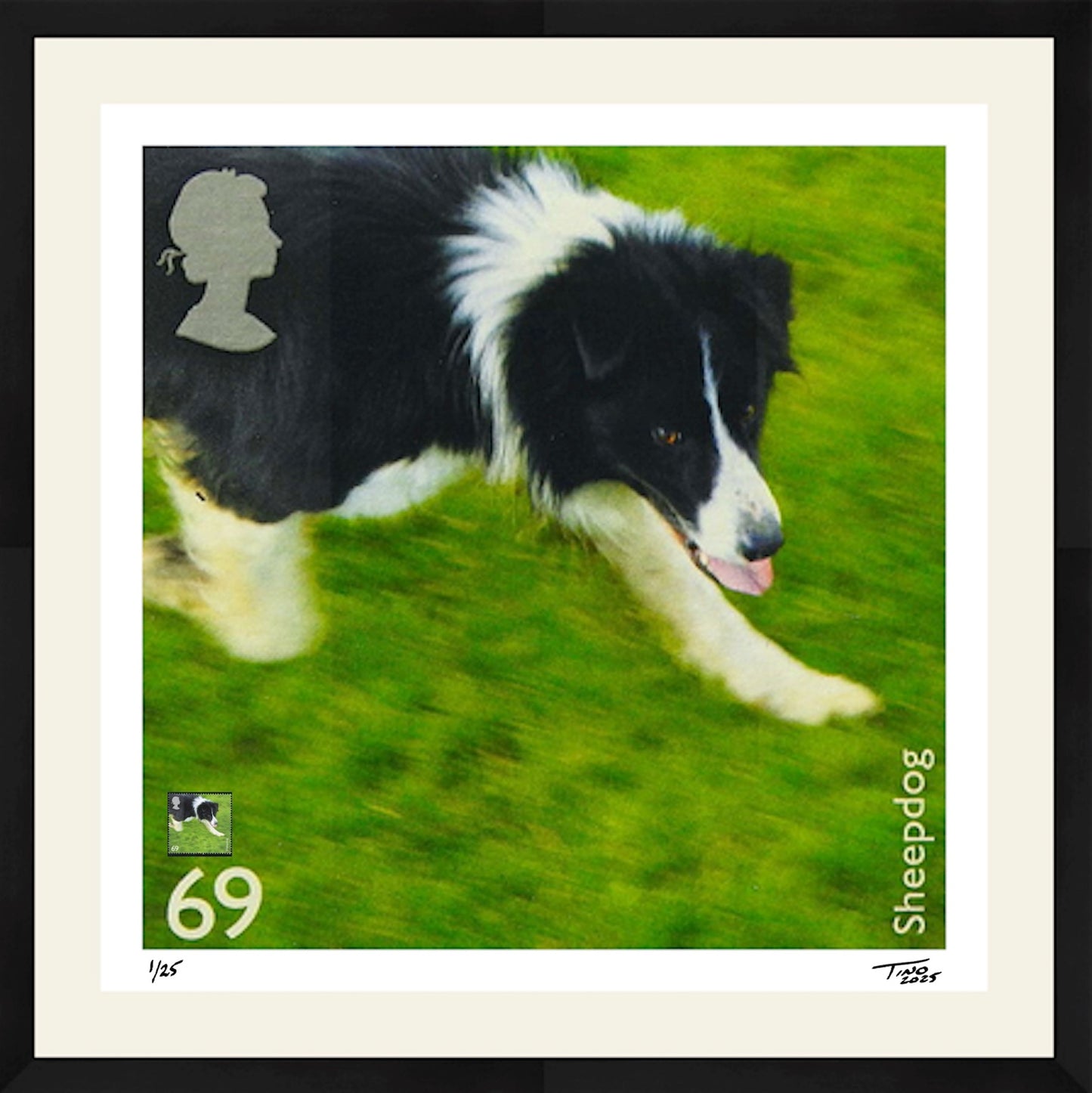 The Working Dogs Artwork with Mint Stamp - Sheepdog