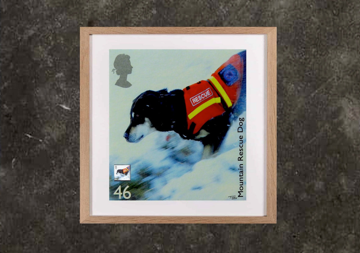 The 2008 Working Dogs Mint Stamp with Artwork - Mountain Rescue Dog
